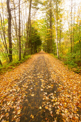Fototapeta na wymiar Newport Claremont Rail Trail in Newport, New Hampshire in autumn.