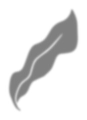 Leaf Shadow Illustration Graphic Element