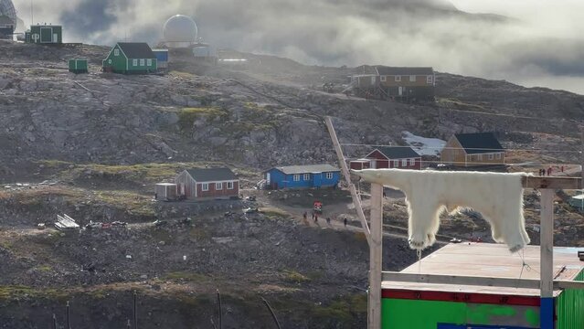 Polar bear skin drying by the house in Ittoqqortoormit on a foggy morning. Greenland. pan left.