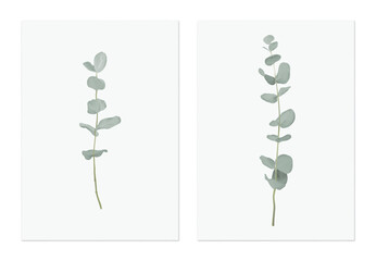 Foliage poster template design, Eucalyptus cinerea on grey - 689465597