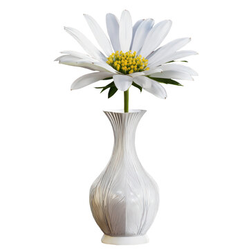 flower in vase isolated on transparent background