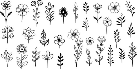Hand drawn floral minimal elements in line art style Vector illustration for logo, tattoo, wedding invitation