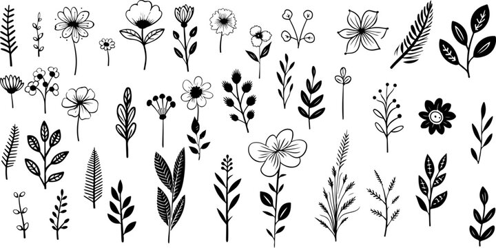 Hand drawn floral minimal elements in line art style Vector illustration for logo, tattoo, wedding invitation