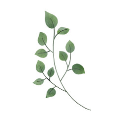 Botanical Leaf watercolor illustration on white background.	Hand-drawn style.