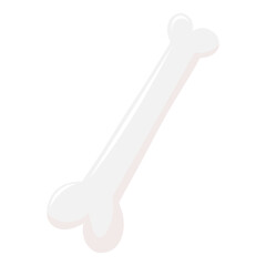 bone illustration