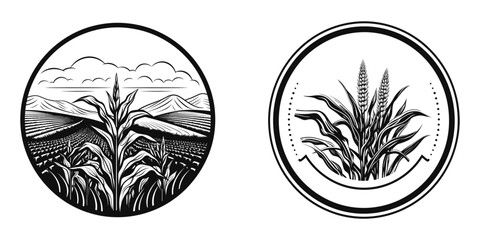 Agriculture and organic farm logo set, corn  field, vector illustration. - obrazy, fototapety, plakaty