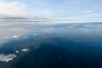 Melting sea ice, broken off from the ice shelf, floating in the arctic ocean in the high arctic, global warming in action
