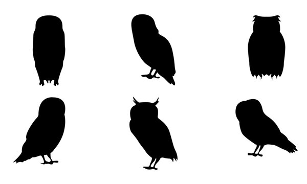 owl detailed vector and silhouettes set black and white