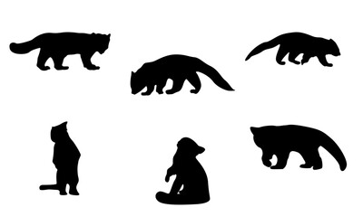 red panda vector and silhouettes set black and white