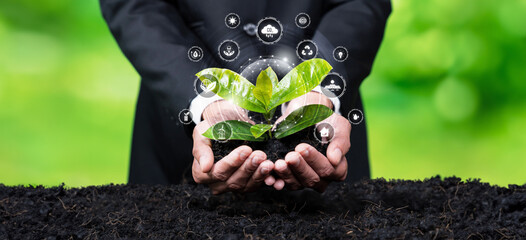 Businessman nurturing plant with eco design icon symbolize commitment to environmental business,...