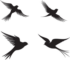 set of silhouettes of bird swallow on white background - obrazy, fototapety, plakaty