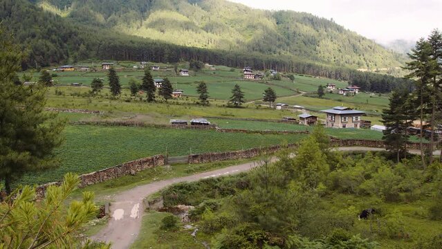 View of scenic landscape in Bhutan, view of the meadows in Phobjikha valley in Bhutan.