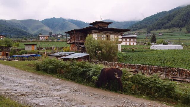 Scenic of a village in the Bumthang valley in Bhutan. 