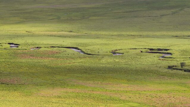 View of scenic landscape in Bhutan, view of the meadows in Phobjikha valley in Bhutan.