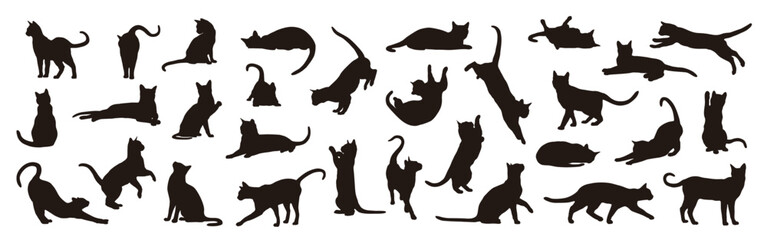 Collection of cat silhouettes in various poses isolated on background - obrazy, fototapety, plakaty
