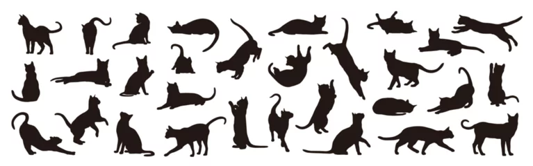 Foto op Plexiglas Collection of cat silhouettes in various poses isolated on background © Safyna