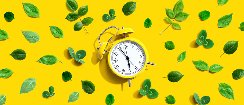 Yellow vintage alarm clock with green leaves - flat lay