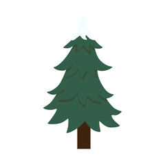 Christmas tree illustration with christmas ornament. Vector illustration isolated on white background, template for design, greeting card, invitation.