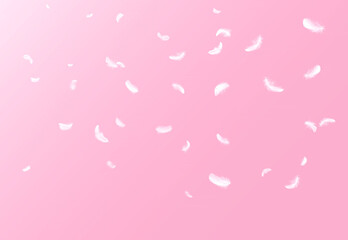 Abstract White Bird Feathers Floating in The Air. Falling Feathers. Softness of Feather on Pink...
