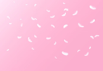 Abstract White Bird Feathers Floating in The Air. Falling Feathers. Softness of Feather on Pink Background.	
