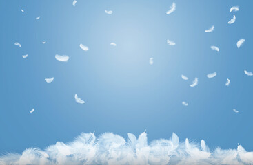 Abstract White Bird Feathers Falling on Floor. Softness of Floating Feathers in Blue Sky.	