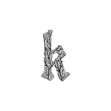 letter k branches hand drawing vector isolated on background.