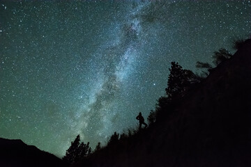 Man silhouetted against night sky and milky way in mountain forest, Penticton, British Columbia,...