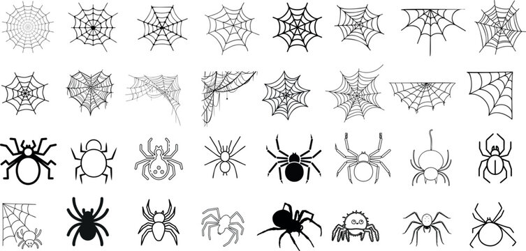 Spider, Web Vector Illustration Collection Various Styles and Shapes. Spiders, webs are Perfect for Halloween, Web Design, Features Arachnids, Arthropods, Creepy Crawly Insects, Spiderwebs, Cobwebs