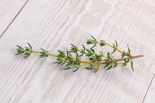 Aroma seasoning thyme stem with leaves