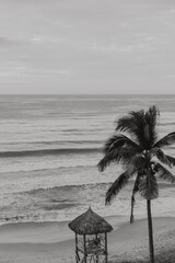 black and white beach with palm trees