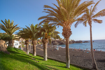 Fototapeta na wymiar palm trees on the beach black sand tenerife