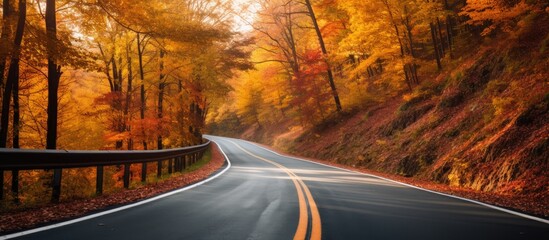 Autumn forest road at sunset. Empty mountain roadway, trees with red and orange foliage. Colorful landscape with road through the woods in fall. Travel. Road trip. Transportation. Season.