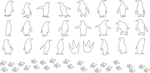 Fototapeta na wymiar Penguin line art vector illustration set, penguins outline for winter designs, animal themes. Features black and white line art penguins in various poses standing, walking, waddling, sitting, sliding