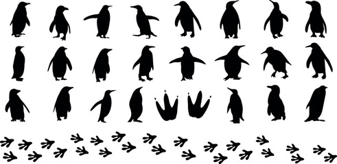 Penguin silhouette vector illustration, unique penguins in different poses. Perfect for animal, bird, flightless, Antarctica, emperor, king, Adelie, chinstrap, gentoo, macaroni, rockhopper - obrazy, fototapety, plakaty