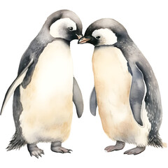 Penguins Couple kissing. The image is a Watercolor Style. PNG File