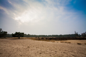 This image presents a vast expanse of sandy terrain under a dramatic sky, where the sun attempts to pierce through the heavy cloud cover, casting a diffused light over the landscape. A solitary tree