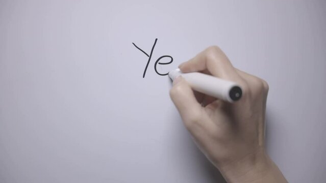 YES & NO. A woman's hand writes the word "Yes, NO" with a black marker on a white board. Blank space for insertion