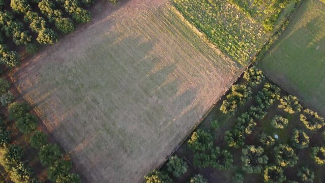 Matiniti area of Campo Calabro on Stretto di Messina