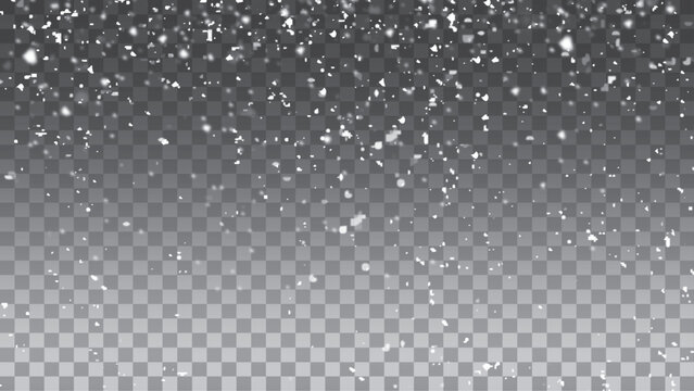 Falling snow on a transparent background. Vector heavy snowfall, snowflakes in different shapes and forms. Snow flakes, snow background. 