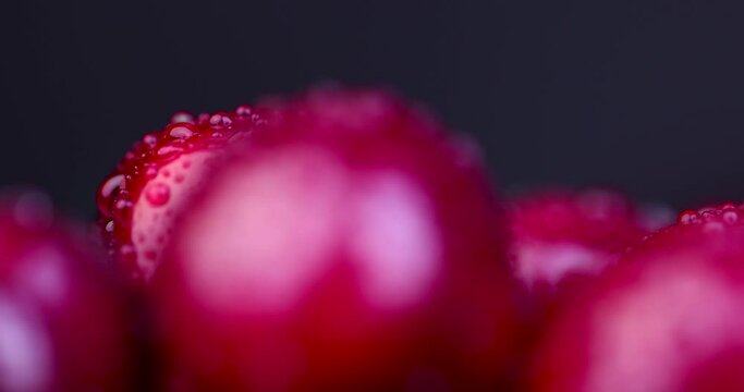 red ripe sweet cherries covered with drops of water, ripe pure cherry berries in drops of clear water