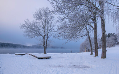 Smoke, fog, over the lake M&auml;laren at a beach, frost on trees and snow in the Stockholm district Bromma