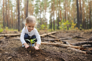 toddler, little kid plants a plant or tree seedling, cutted trees in background