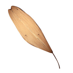 Dry fallen ash leaves with seeds. Watercolor botanical illustration of autumn harvest. Ash is a park tree. Isolated white background
