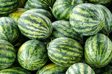 Many big sweet green watermelons at a market in Thailand