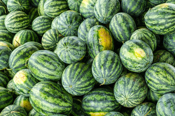 Many big sweet green watermelons at a market in Thailand