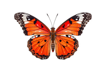 Obraz premium beautiful colorful butterfly isolated transparent background. generative ai
