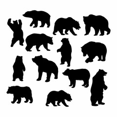 silhouette of a black bear walking