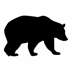 silhouette of a black bear walking