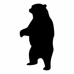 silhouette of a black bear walking