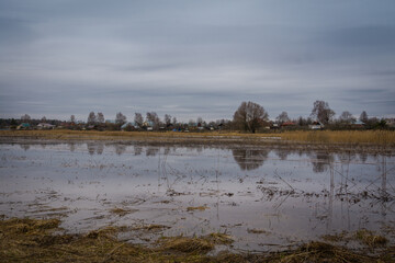 Spring flood of the river